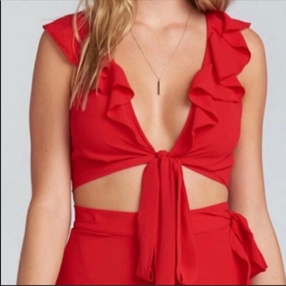 Show Me Your MuMu Tops - NWT Show Me Your MuMu Red Florence Crop Top Small